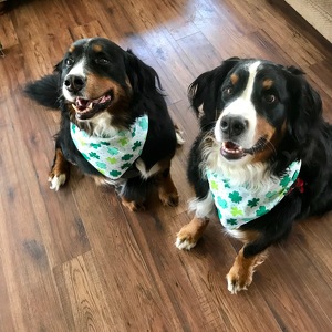 Fundraising Page: Amy Taylor